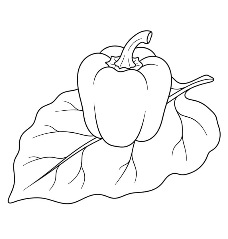 Paprika di atas daun besar