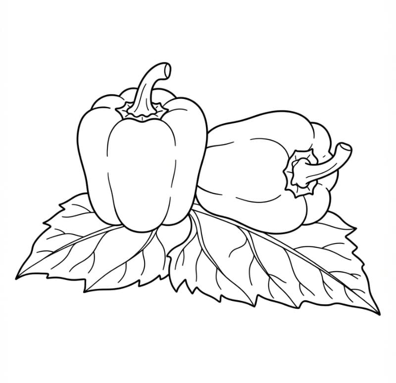 Paprika di atas daun