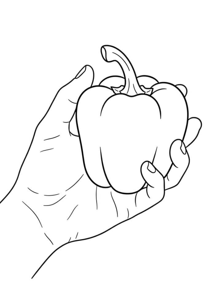 Paprika di dalam keranjang