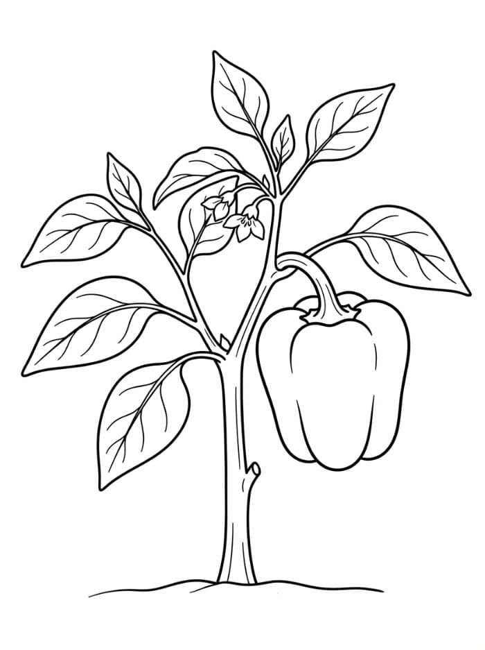 Paprika di tangan