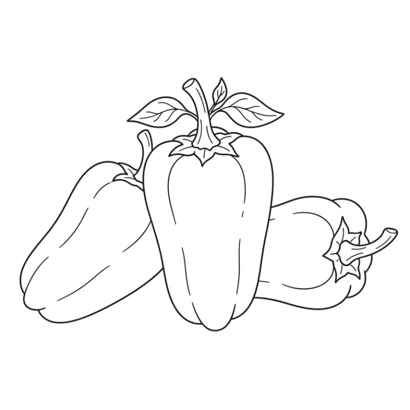 Paprika kecil