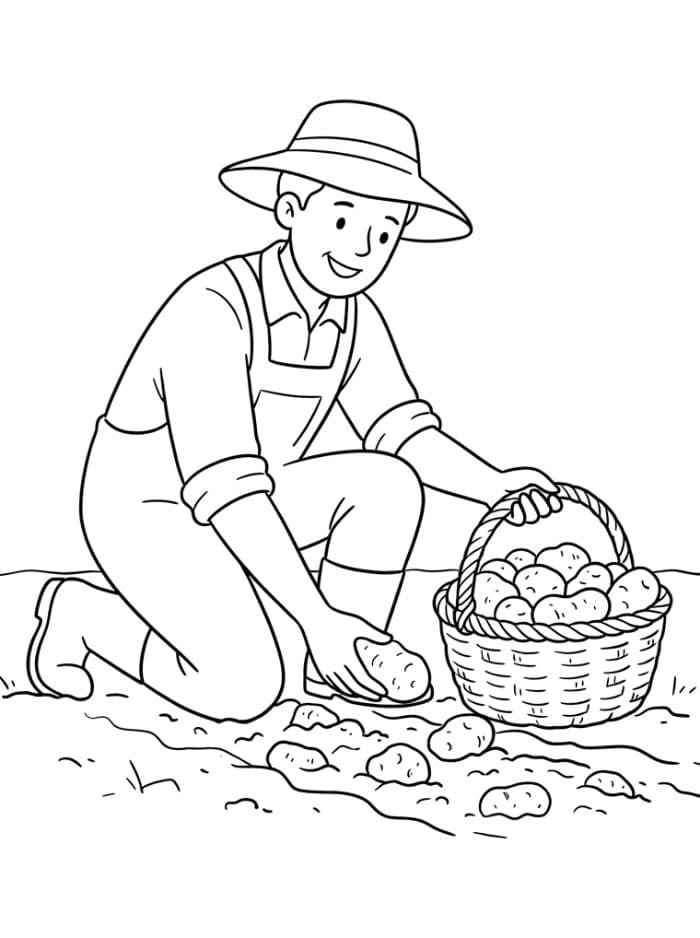 Petani memetik telur
