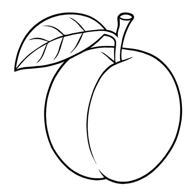 Prem dengan daun