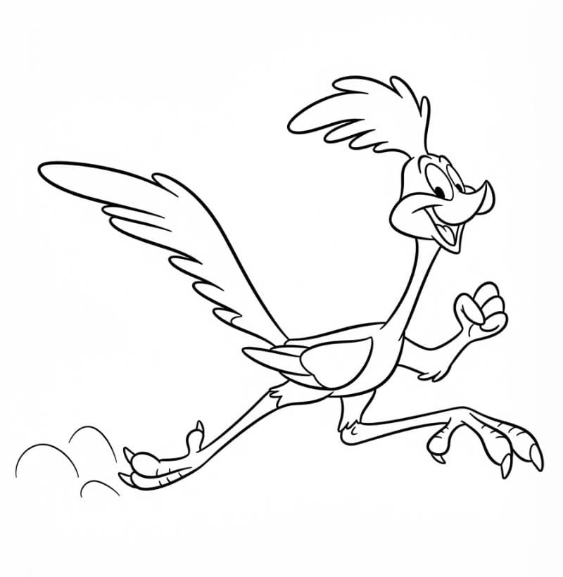 Road Runner Looney Tunes