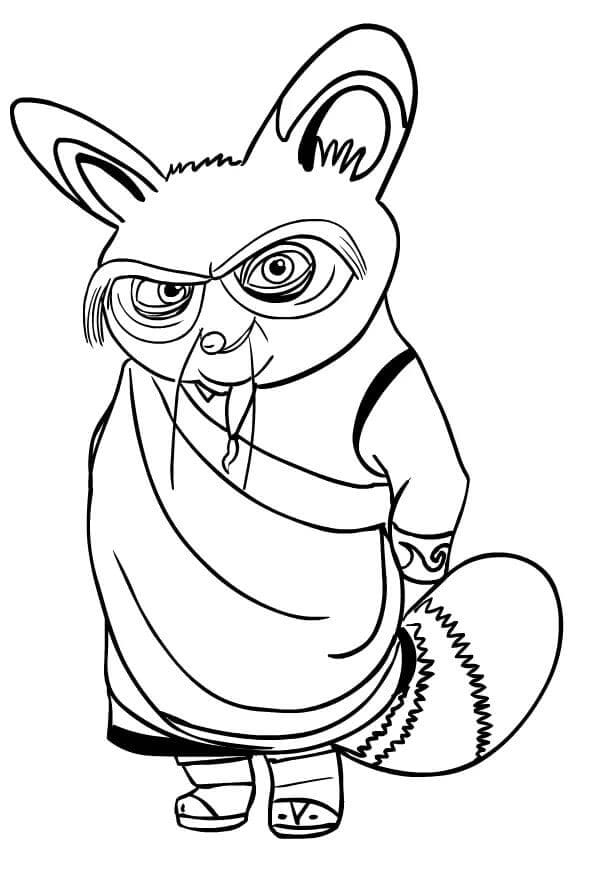 Shifu Kung Fu Panda