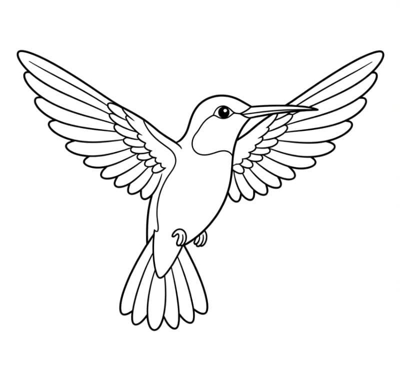 The Burung kolibri terbang bebas