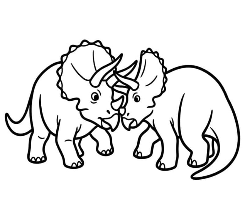 Triceratops Berkelahi