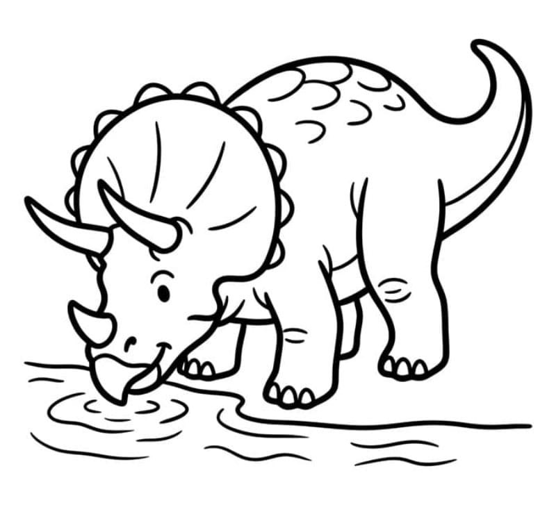 Triceratops Minum