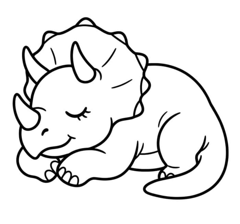 Triceratops Tidur
