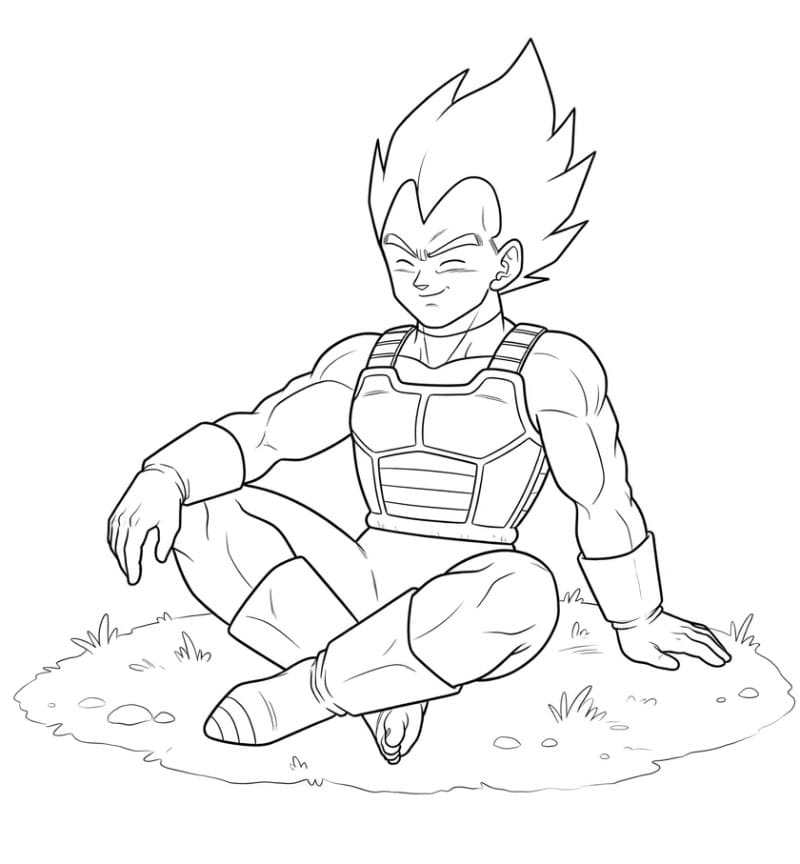 Vegeta Duduk