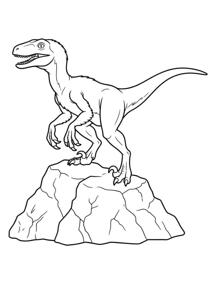 Velociraptor di Atas Batu