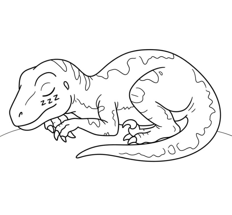 Velociraptor Tidur