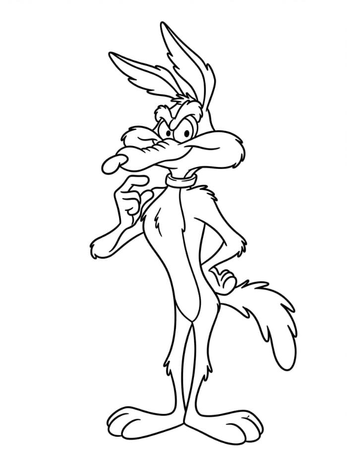 Wile E. Coyote Looney Tunes