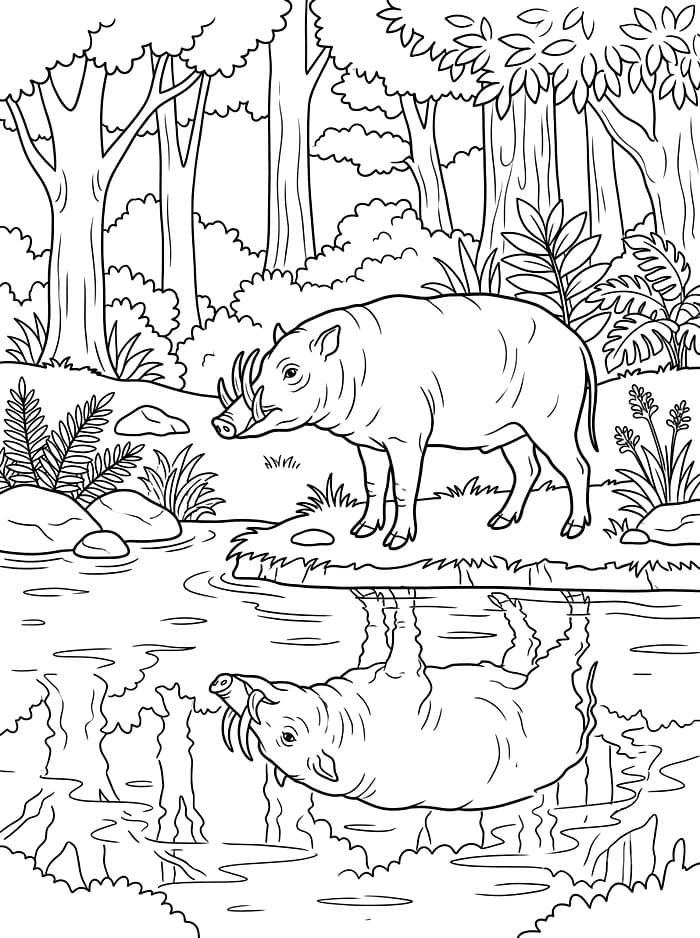 Babi Rusa dengan Refleksi