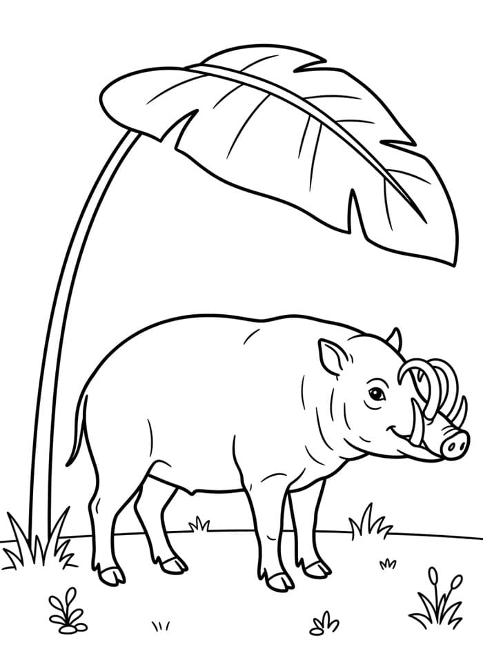 Babi Rusa di bawah daun besar