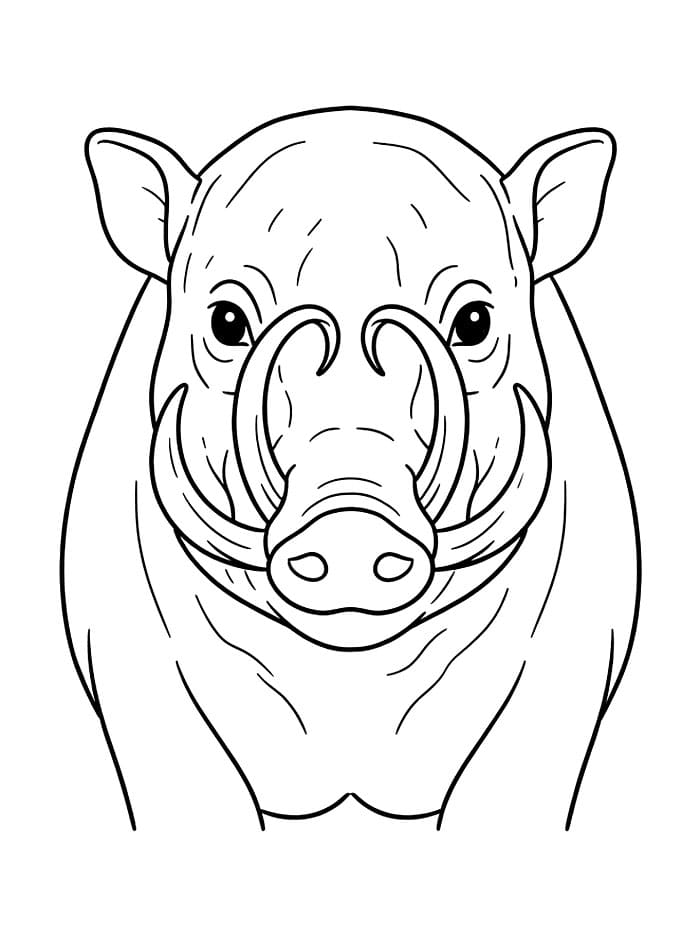 Babi Rusa Tampak Depan