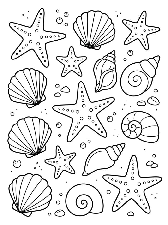 Kerang Laut dan Bintang Laut