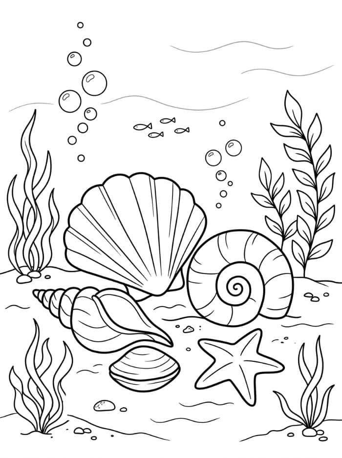 Kerang Laut di Samudra