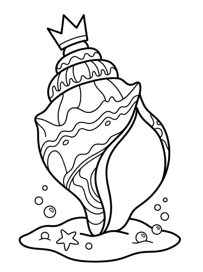 Kerang Laut Kerajaan