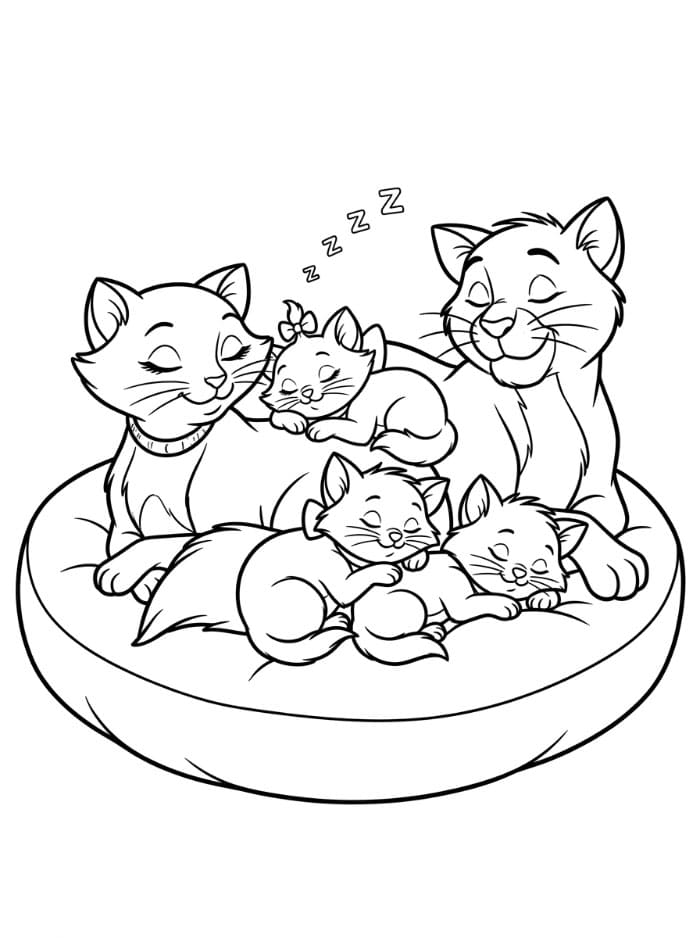 The Aristocats sedang tidur